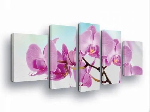 Vászonkép 170x100 Orchidea virágok finomság elegancia természet rózsaszín lila
