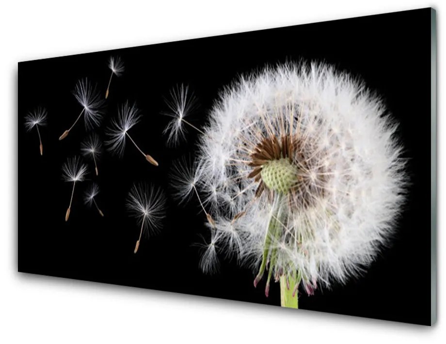 Fali üvegkép Pitypang 120x60cm