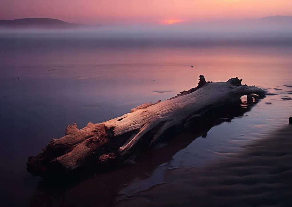 Poszter 84x59,5cm Várva a végére