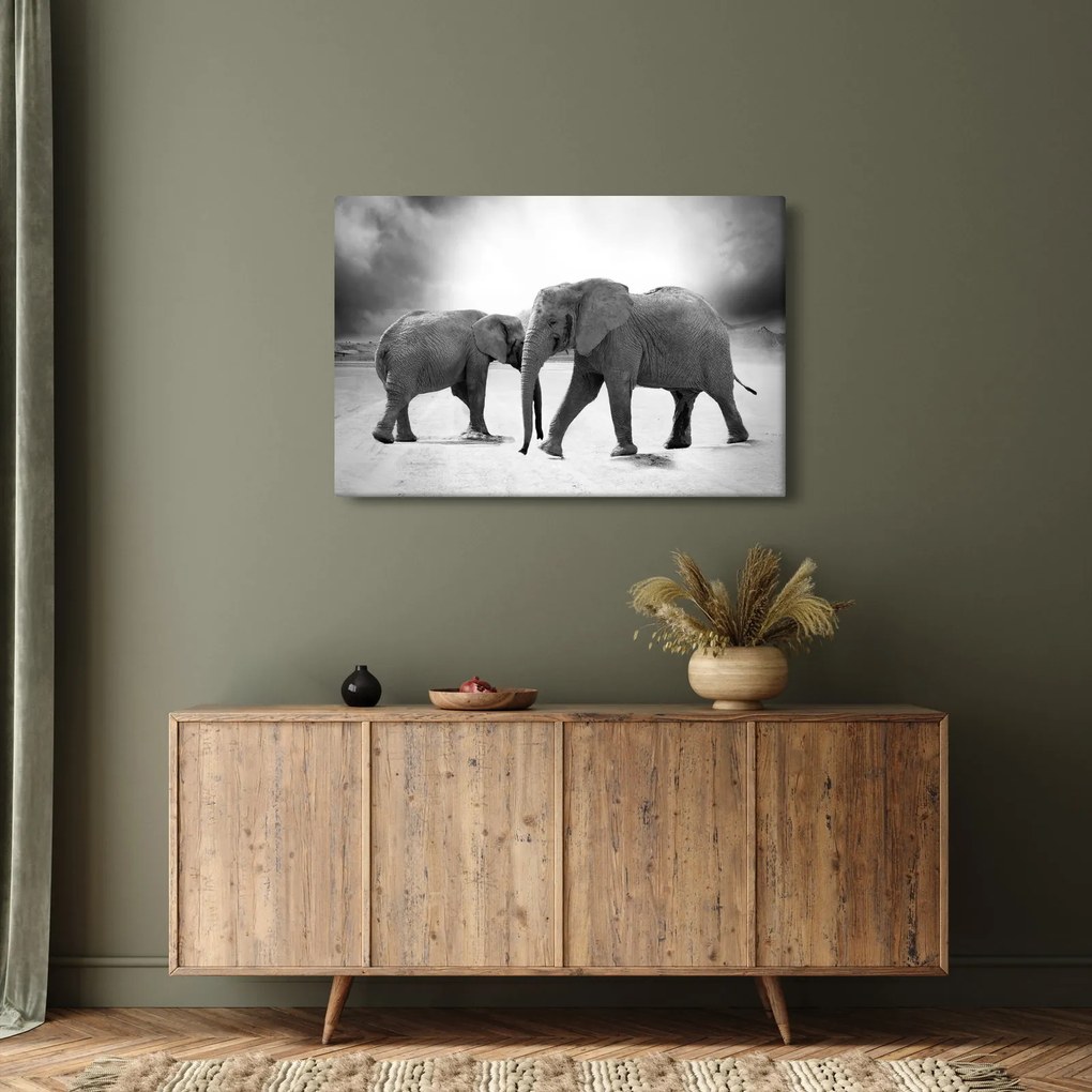 Kép - fekete fehér elefántok (90x60 cm)