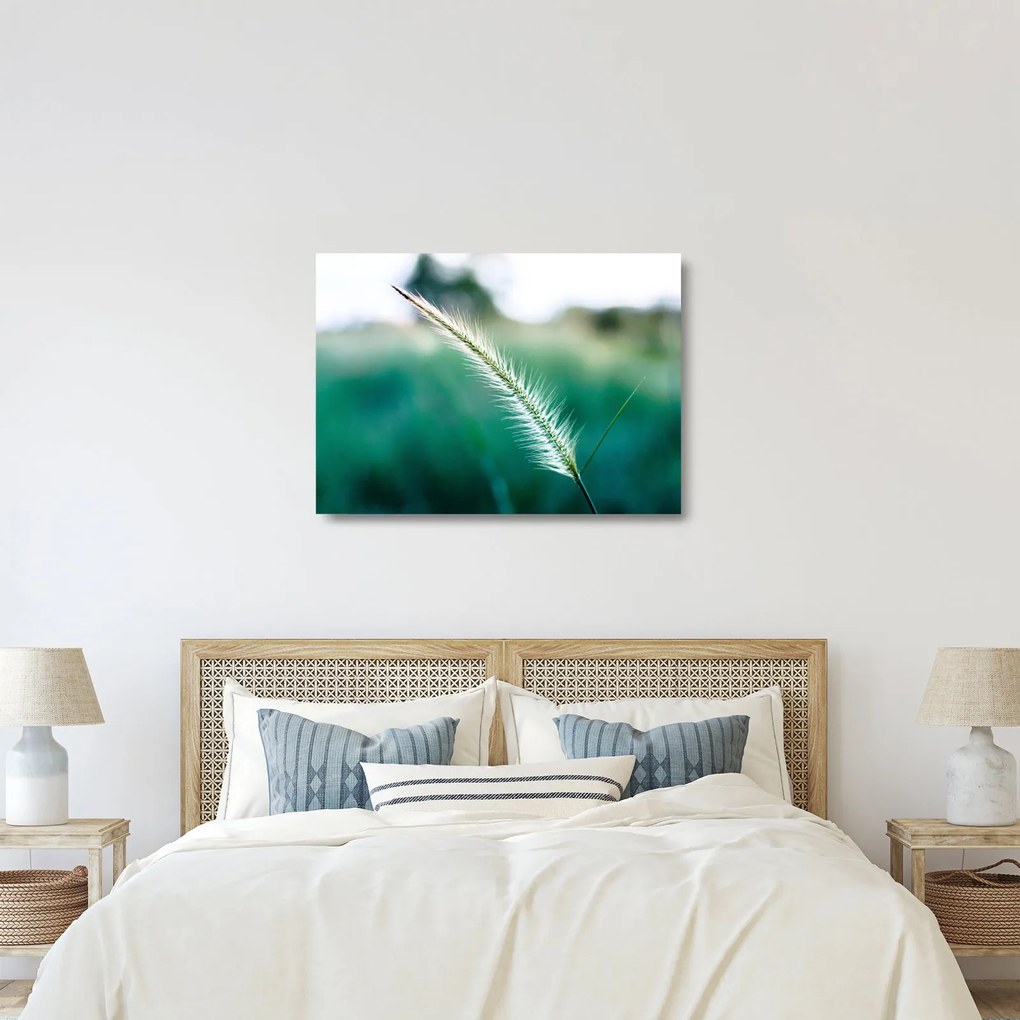Fűszál képe (üvegen) (70x50 cm)