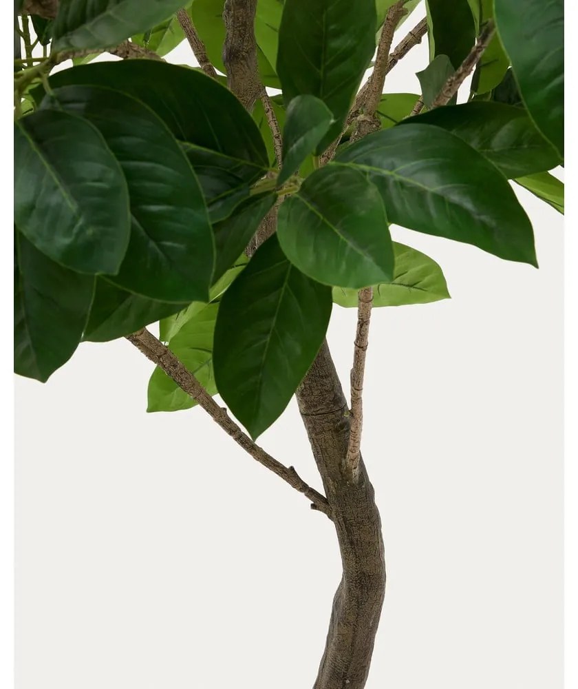 Fikusz műnövény (magasság 210 cm) Ficus – Kave Home