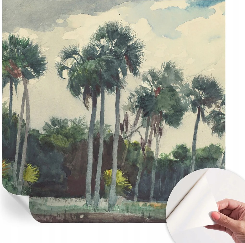 Fotótapéta Fali tapéta Hálószobába és Nappaliba Egzotikus pálmafák 250x250