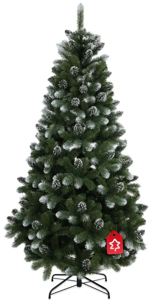 Extralux fenyő 2D 210 cm