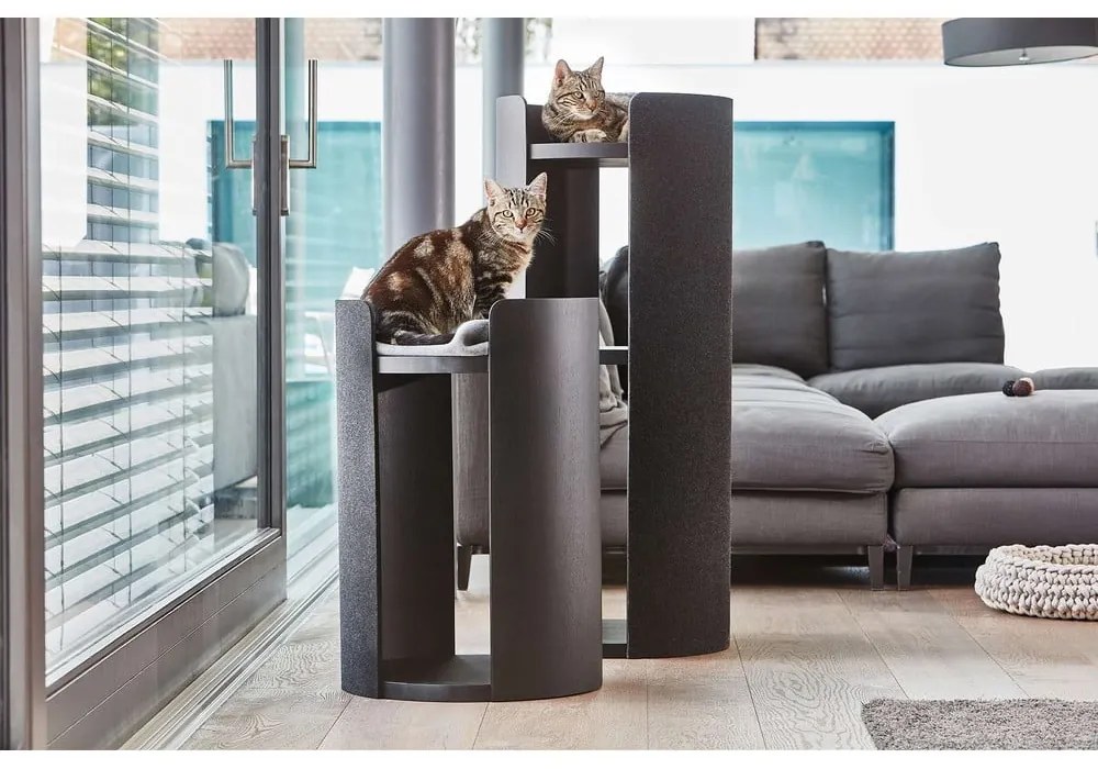 Kaparófa Torre Ash Black M – MiaCara