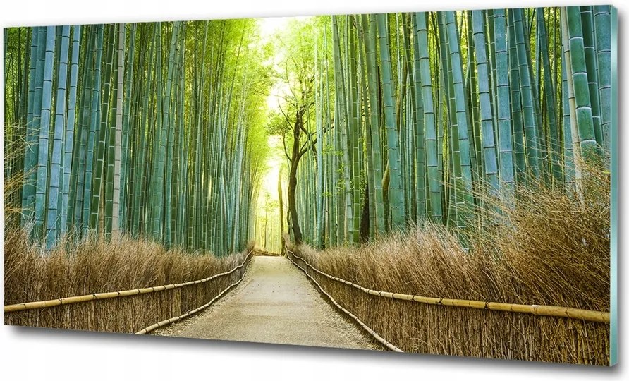 Fotó üvegkép Őszi vízesés 100x70