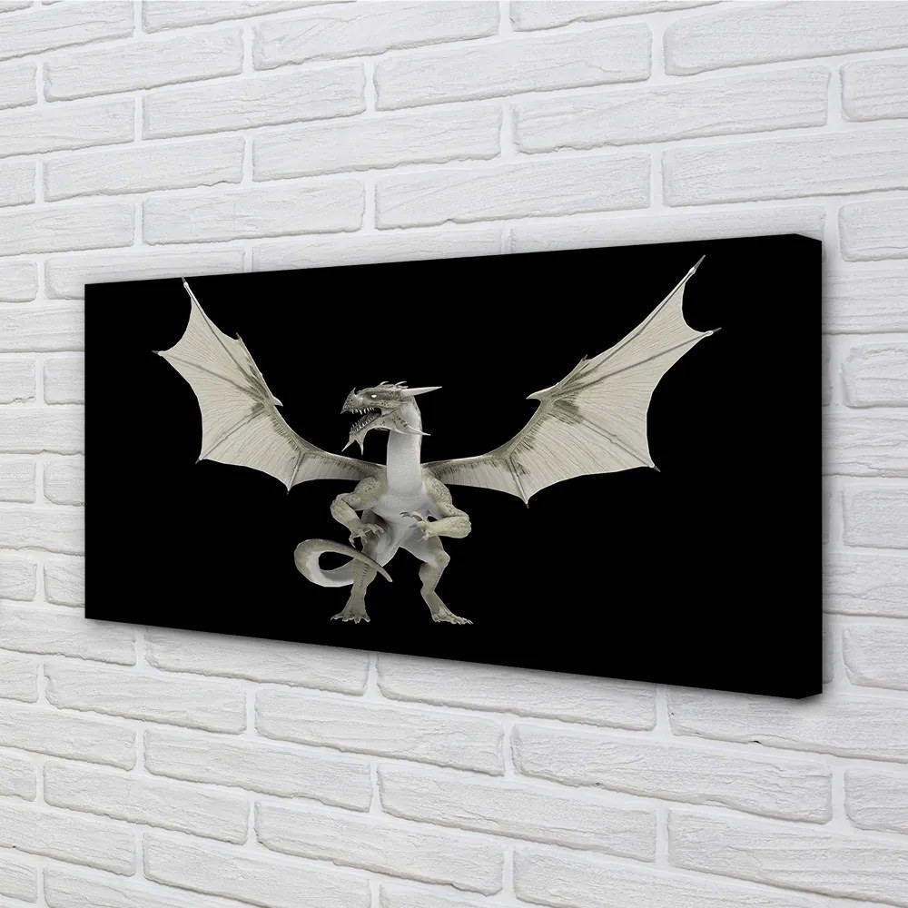 Canvas képek fehér sárkány 100x50 cm