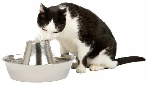 PetSafe® Seaside rozsdamentetlen acélból készültszökőkút 1,8 l