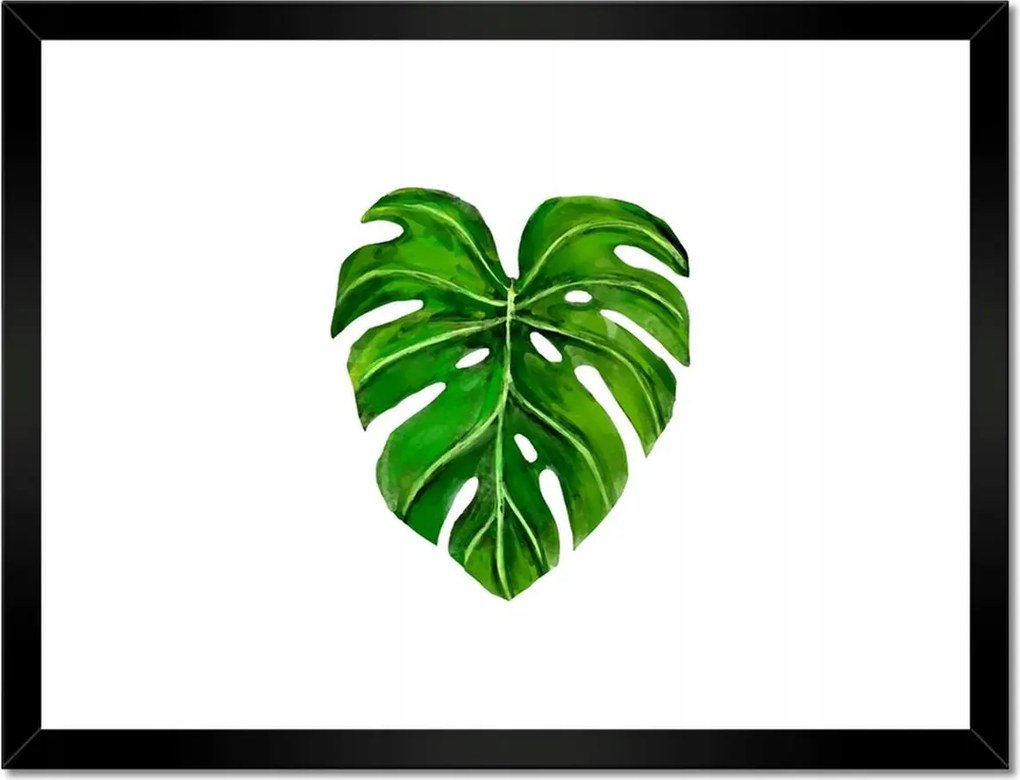 Poszterek keretben 40x30 Lyukas monsera levél