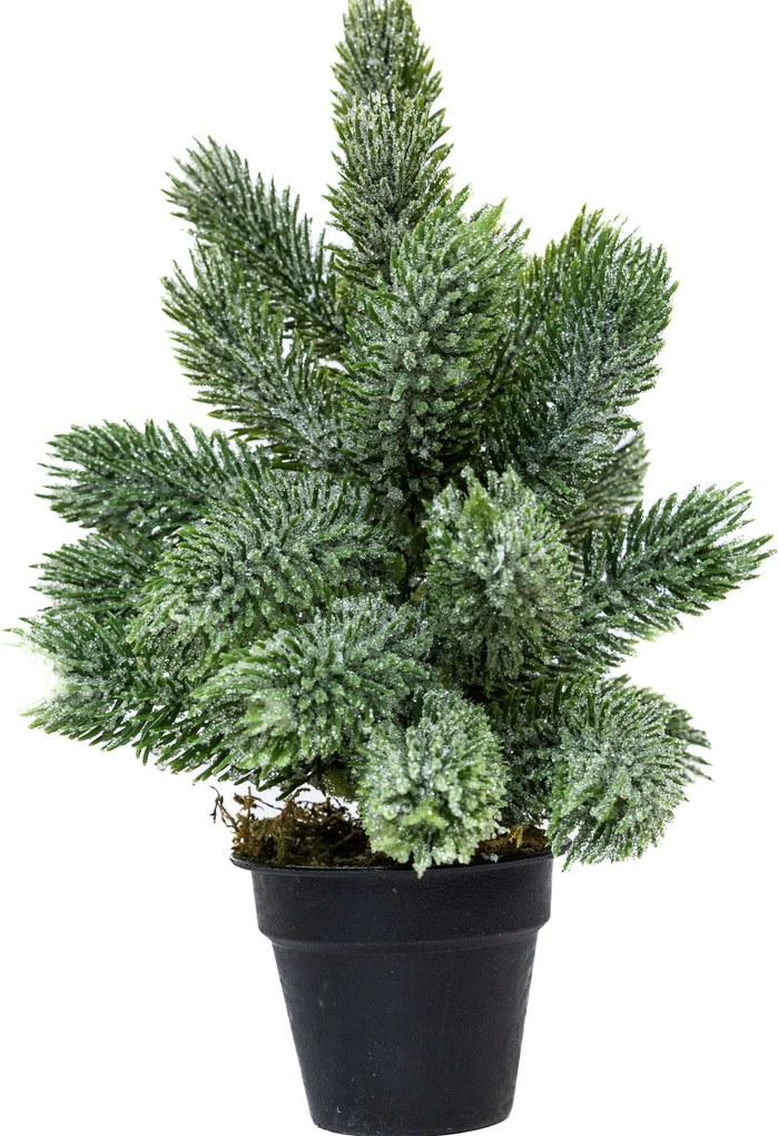 Mini műfenyő cserépben 22 cm Kicsit havas