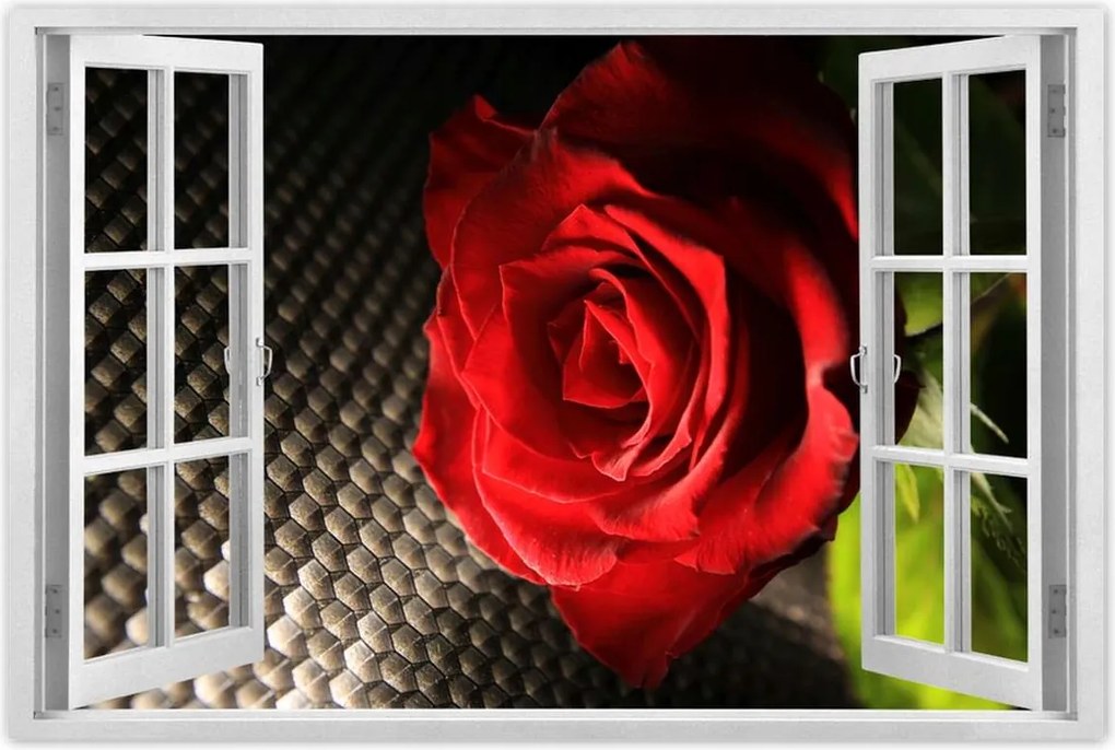 Poszter 90x60 Vörös rózsa levelekkel