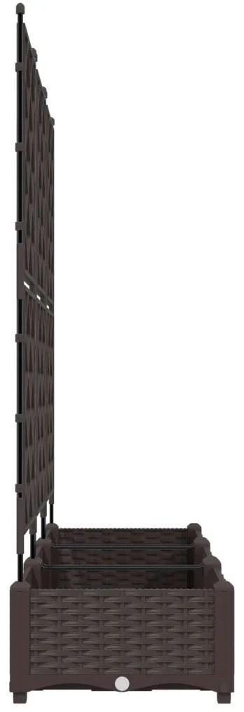 Kert Díszítő Rácsos 3 db Barna 120x40x125.5 cm