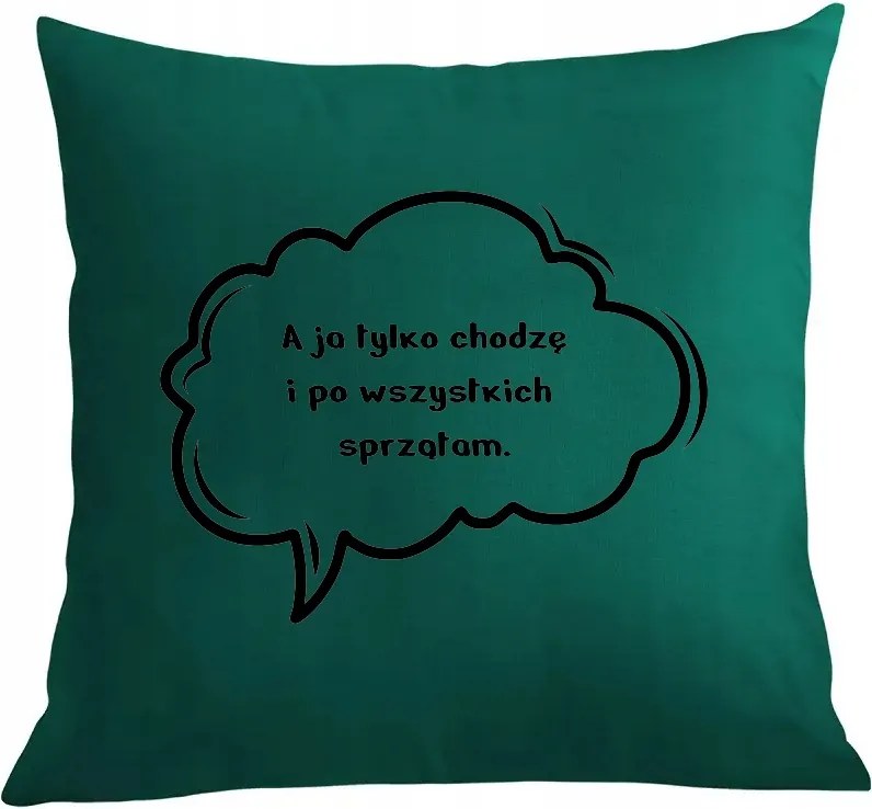 Párna párnahuzat Mindenkit takarítok