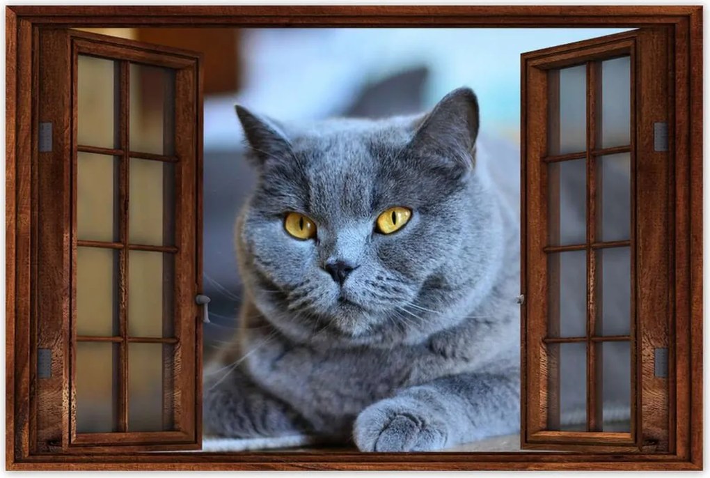 Poszterek 60x40 Cica Cicák