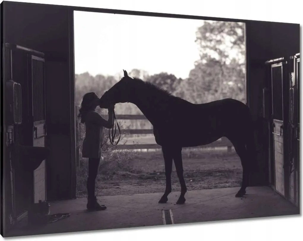 Vászonkép 100x70 Ló Lovak Lovaglás