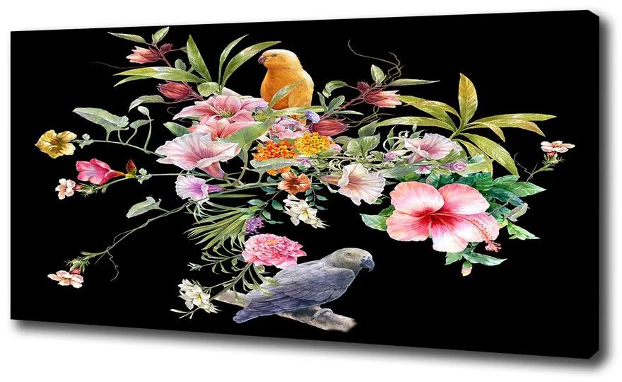 Vászonkép Virágok és madarak pl-oc-100x50-f-172830209