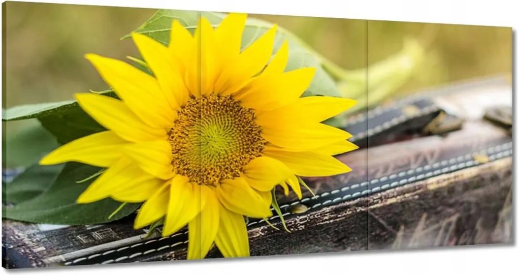 Vászonkép 120x60 Napraforgó a bőröndben