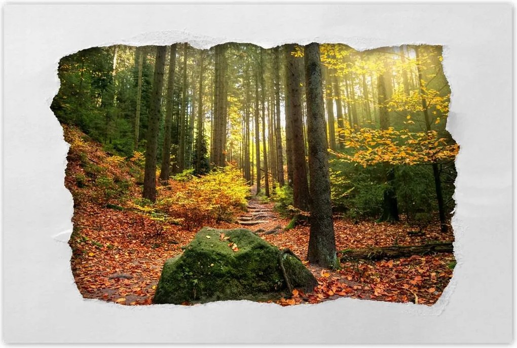 Poszterek 90x60 Tájkép