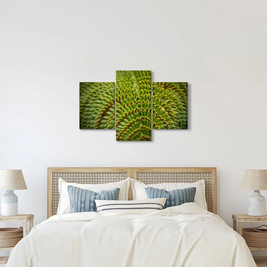 Kép - Fern (90x60 cm)