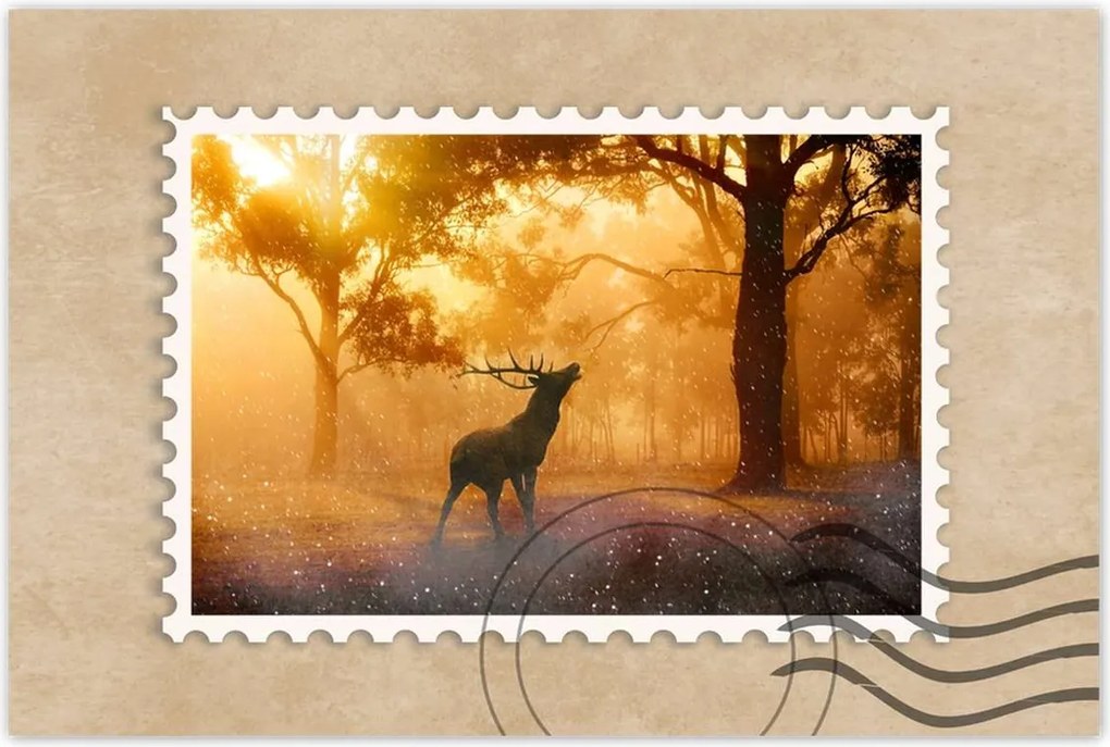 Poszterek 60x40 Szarvas az erdőben