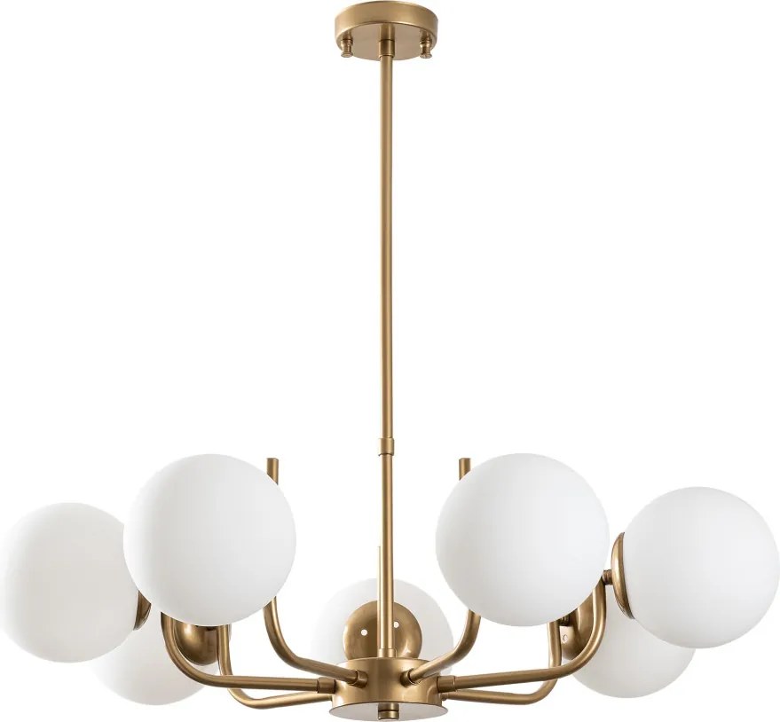 Antler - 13774