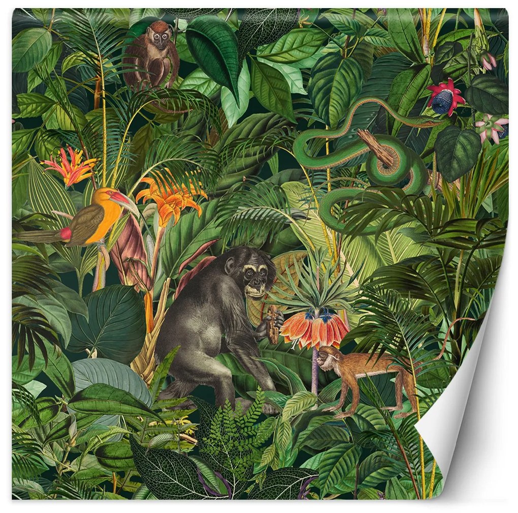 Gario Fotótapéta Jungle állatok zöld levelek - Andrea Haase Anyag: Vlies, Méret: 300 x 300 cm