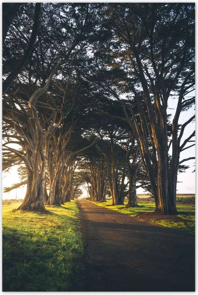 Poszterek 80x120 Tájkép Látvány