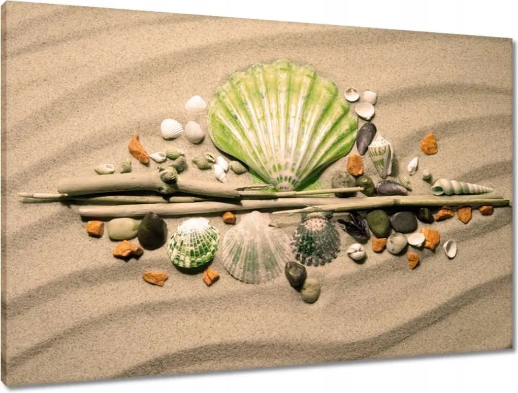 Vászonkép 90x60 Lime kagyló Balti-tenger