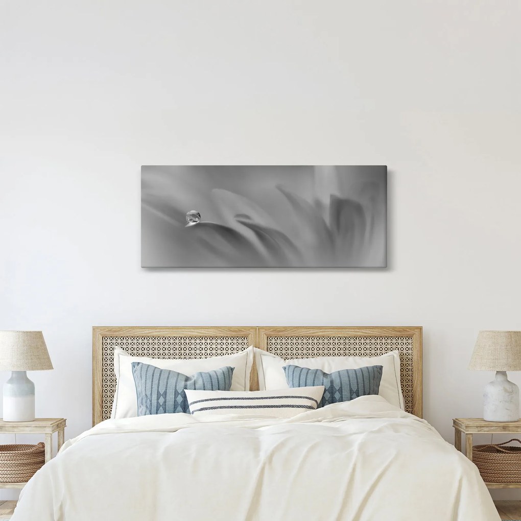 Kép - Csepp a virágon, fekete-fehér (120x50 cm)