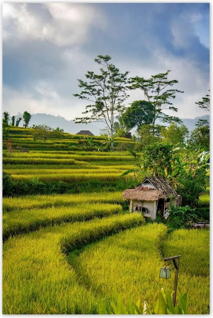 Poszterek 60x90 Tájkép Látvány