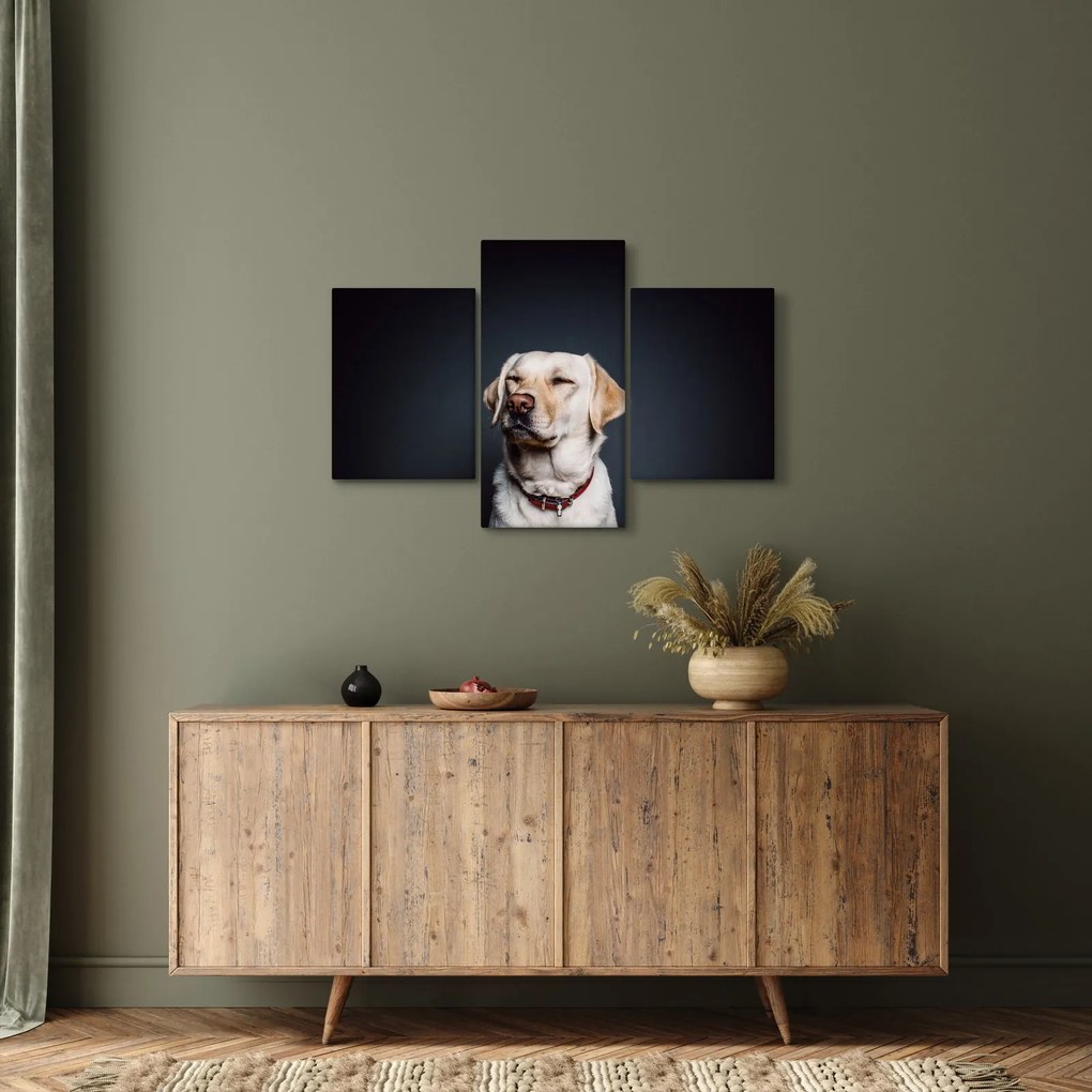 Labrador képe (90x60 cm)