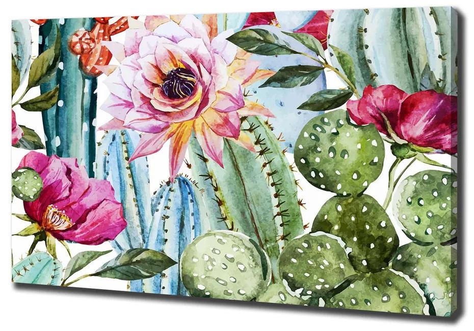 Fali vászonkép Kaktusz és virágok pl-oc-100x70-f-86911786