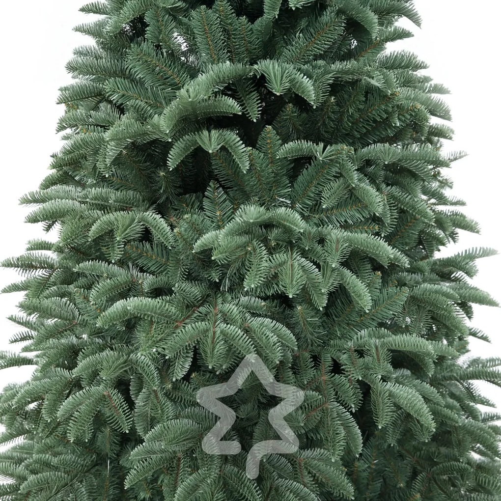 Oregon jegenyefenyő 180 cm