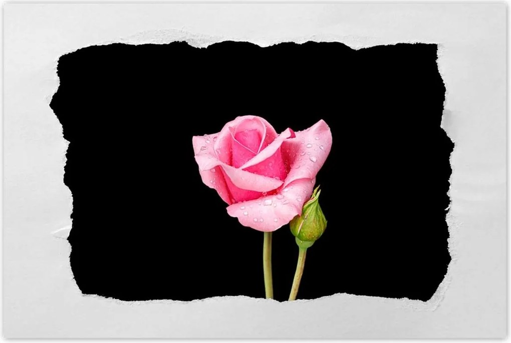 Poszter 90x60 Rózsaszín rózsabimbó