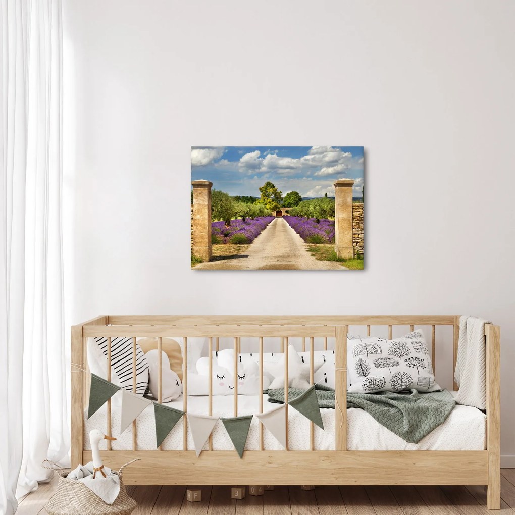 Kép - Levendula ösvények (70x50 cm)
