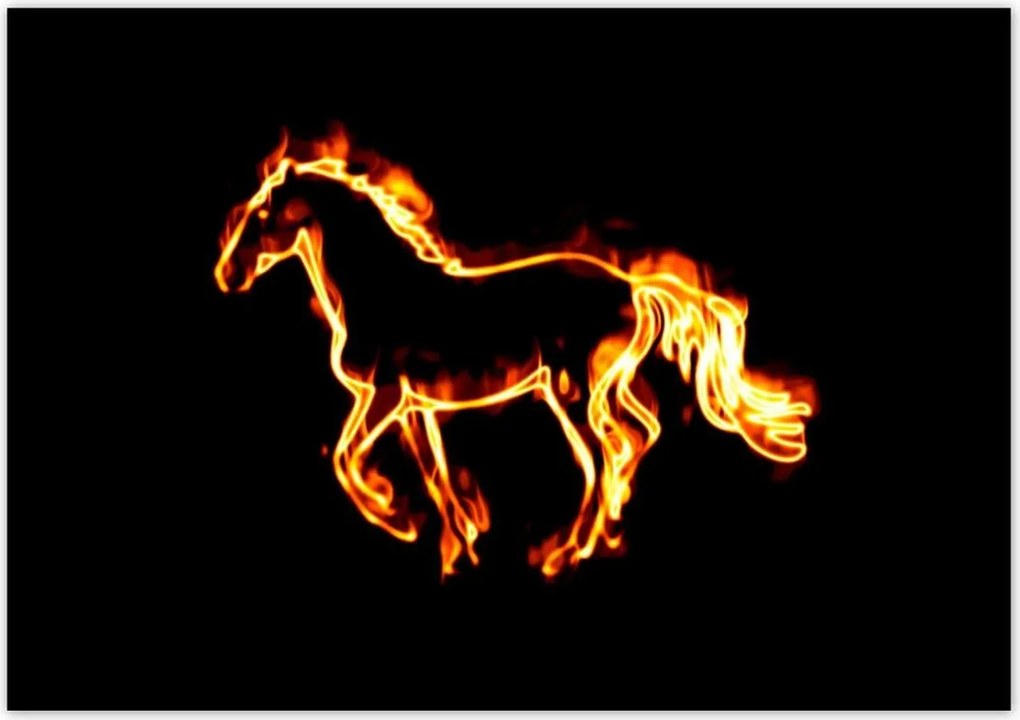 Poszterek 100x70 Tűz paripa