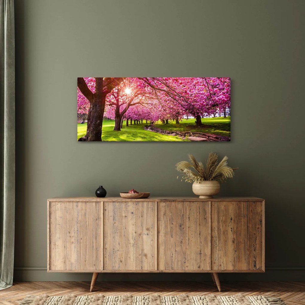 A virágzó cseresznye képe, Hurd Park, Dover, New Jersey (120x50 cm)