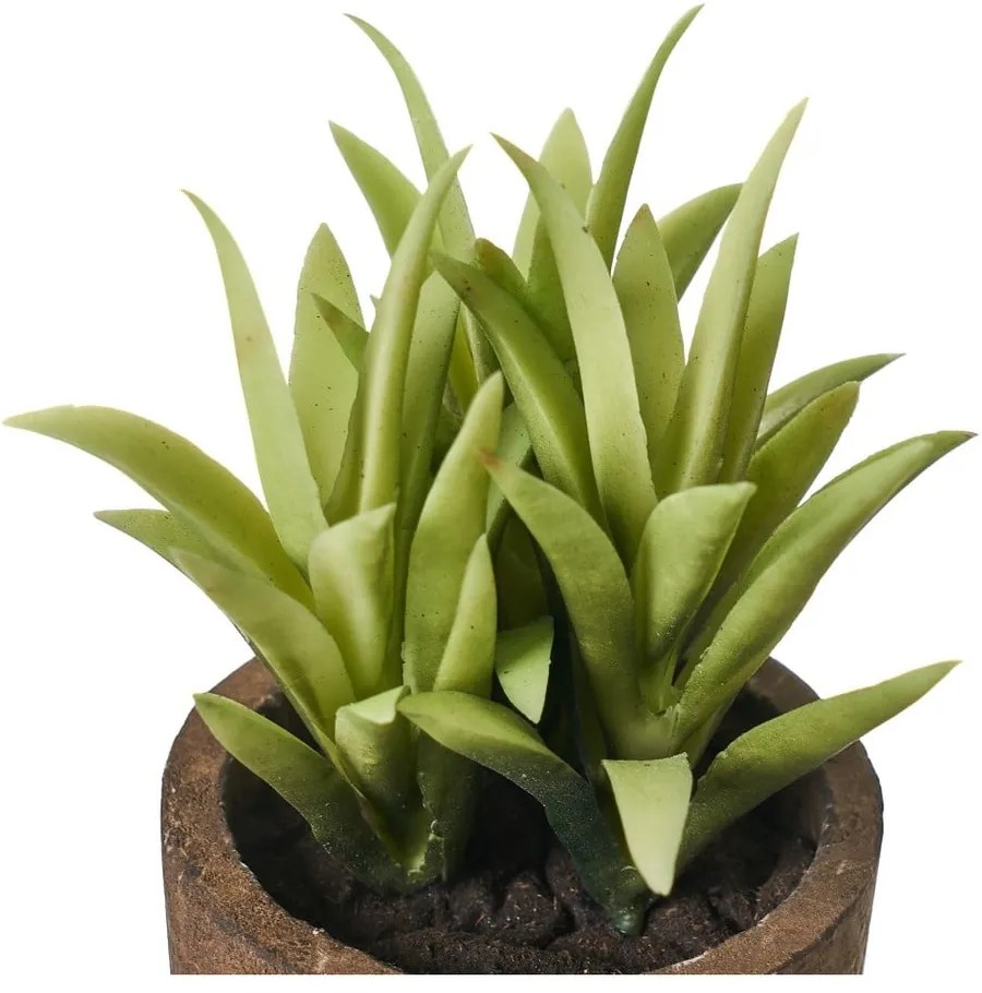Műnövény szett 4 db-os (magasság 10 cm) Cactus – Casa Selección