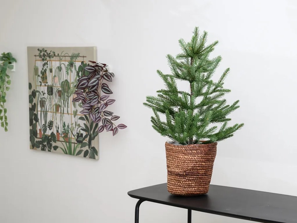 Mohaifű kaspó SEAGRASS BASKET 20 cm