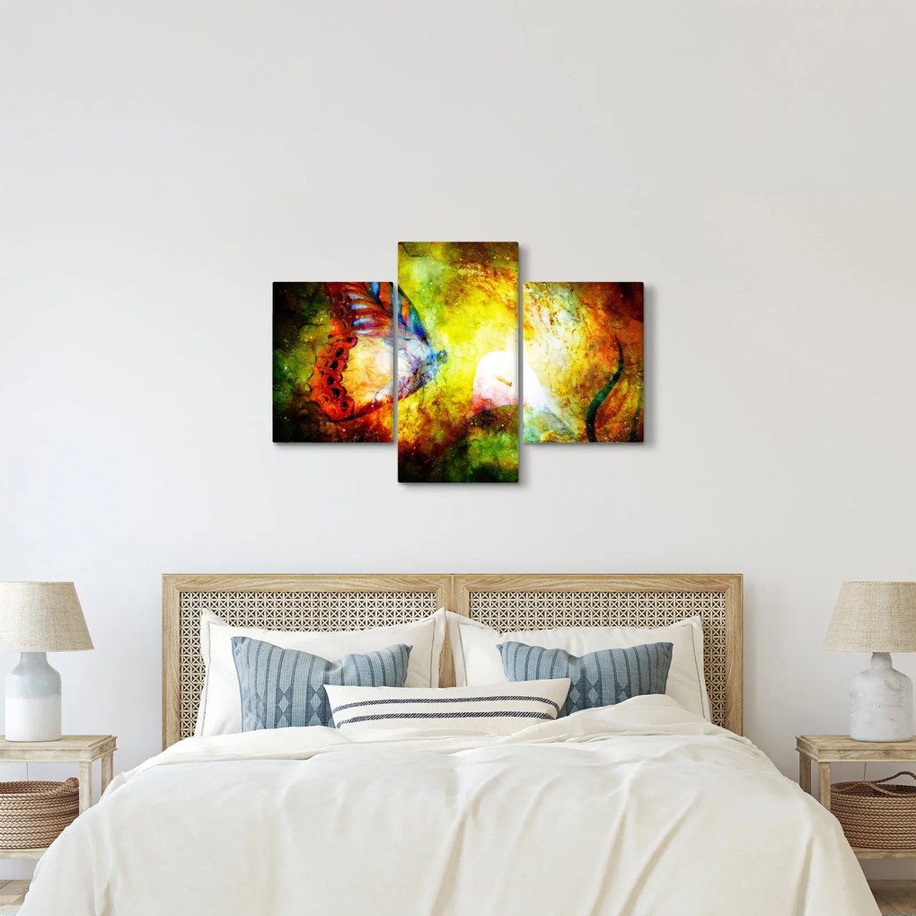 Kép - Kozmikus pillangó (90x60 cm)