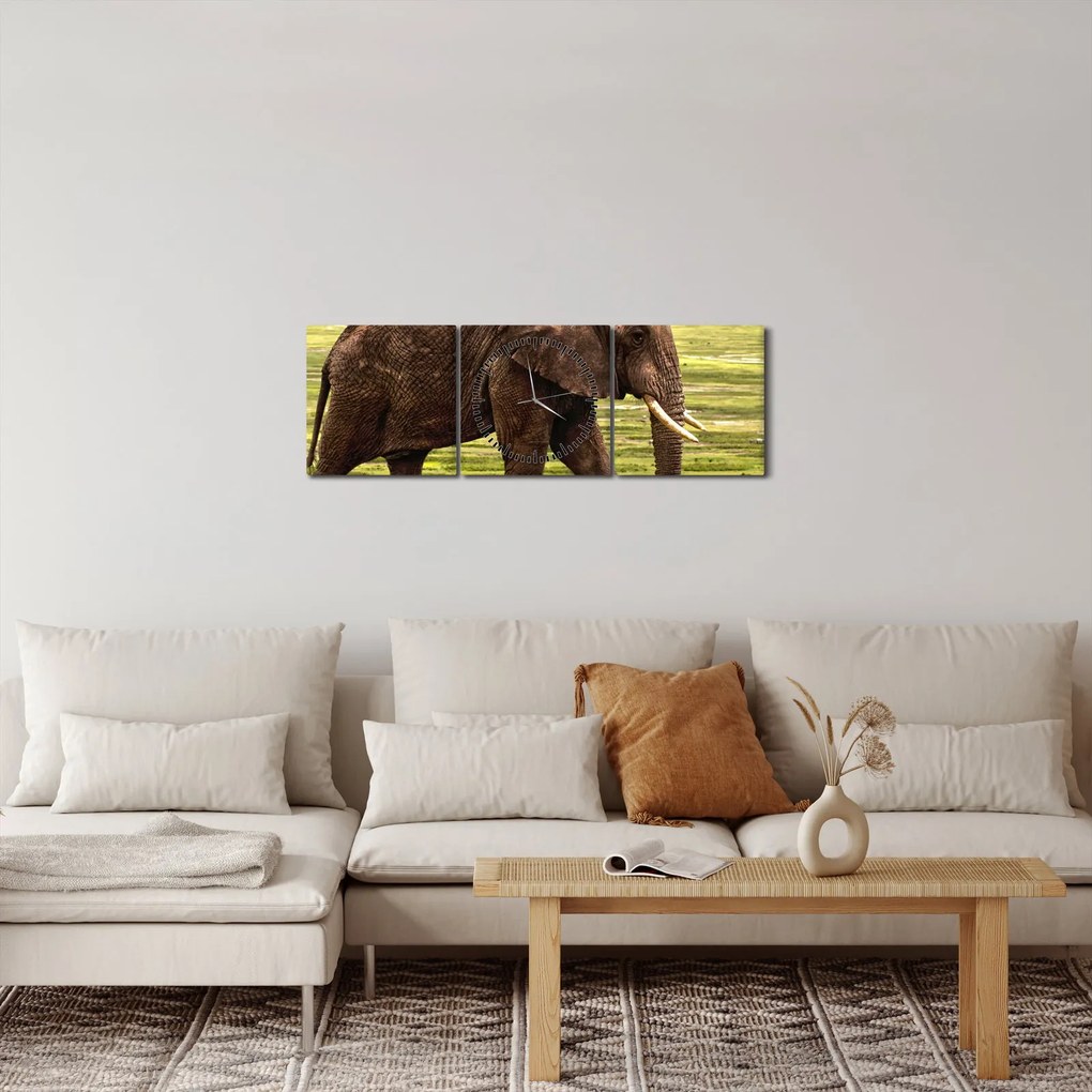 Egy elefánt képe (órával) (90x30 cm)