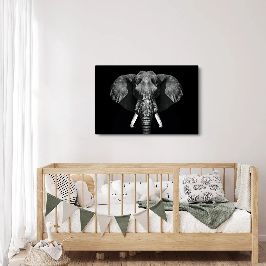 Kép - Elefánt fekete háttérrel (90x60 cm)