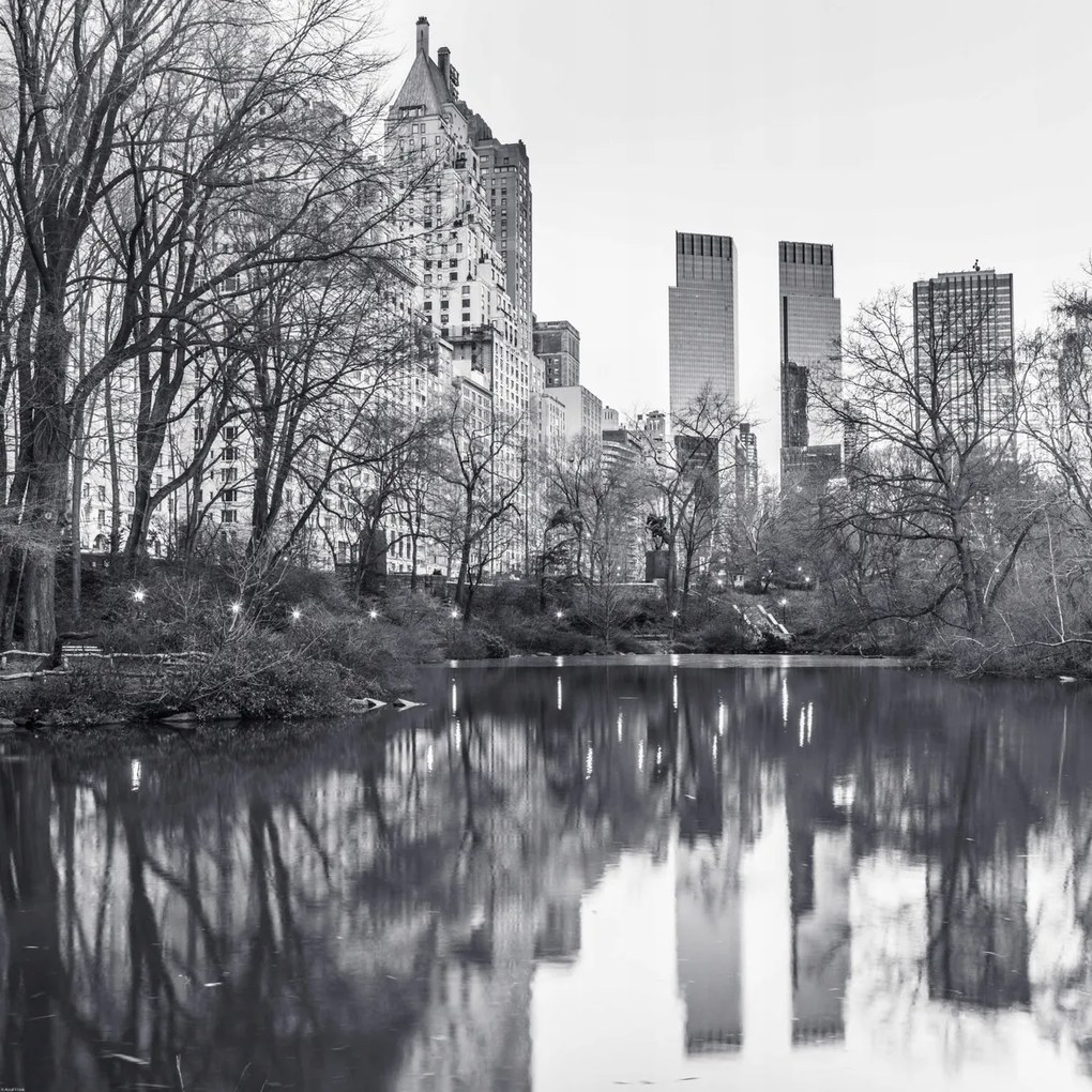 Poszter 80x80cm Központi park Manhattan panorámával 4, Assaf Frank