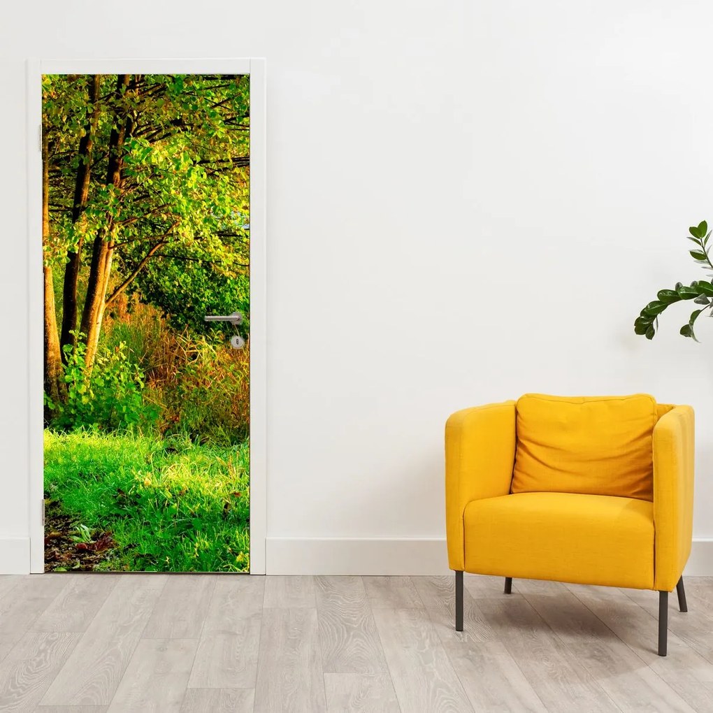 Fotótapéta ajtóra - Sétány a víz mentén (95x205cm)