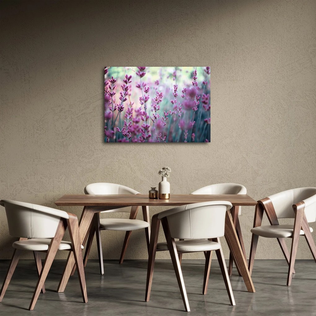 Kép - Levendula (70x50 cm)