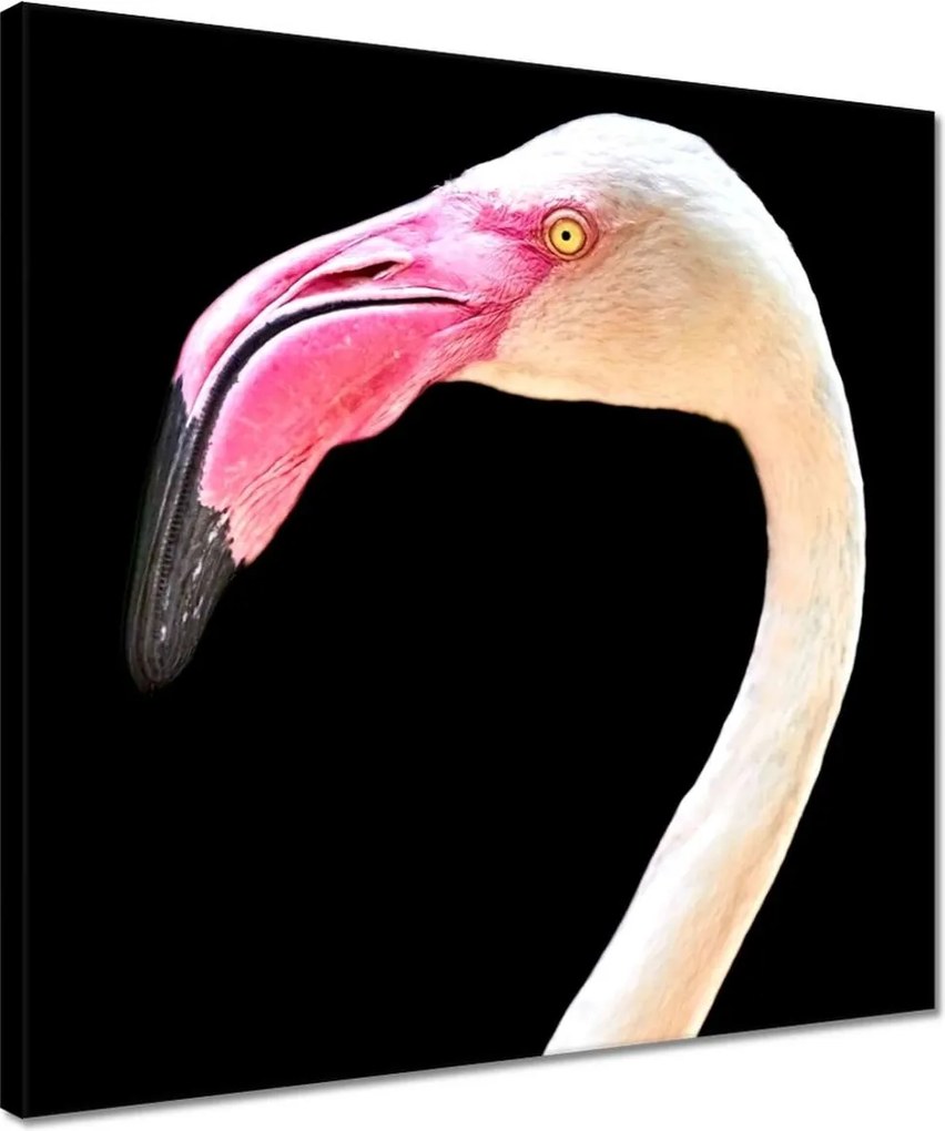 Vászonkép 40x40 Flamingó madár Mit csomagolok