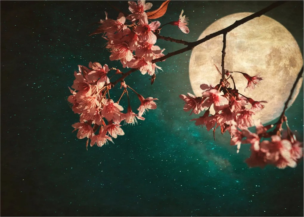 Kép - Sakura teliholdkor (70x50 cm)