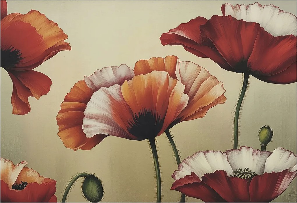 Fotótapéta Dekoratív Fali Tapéta Képekkel Vidám pipacsok 152x104