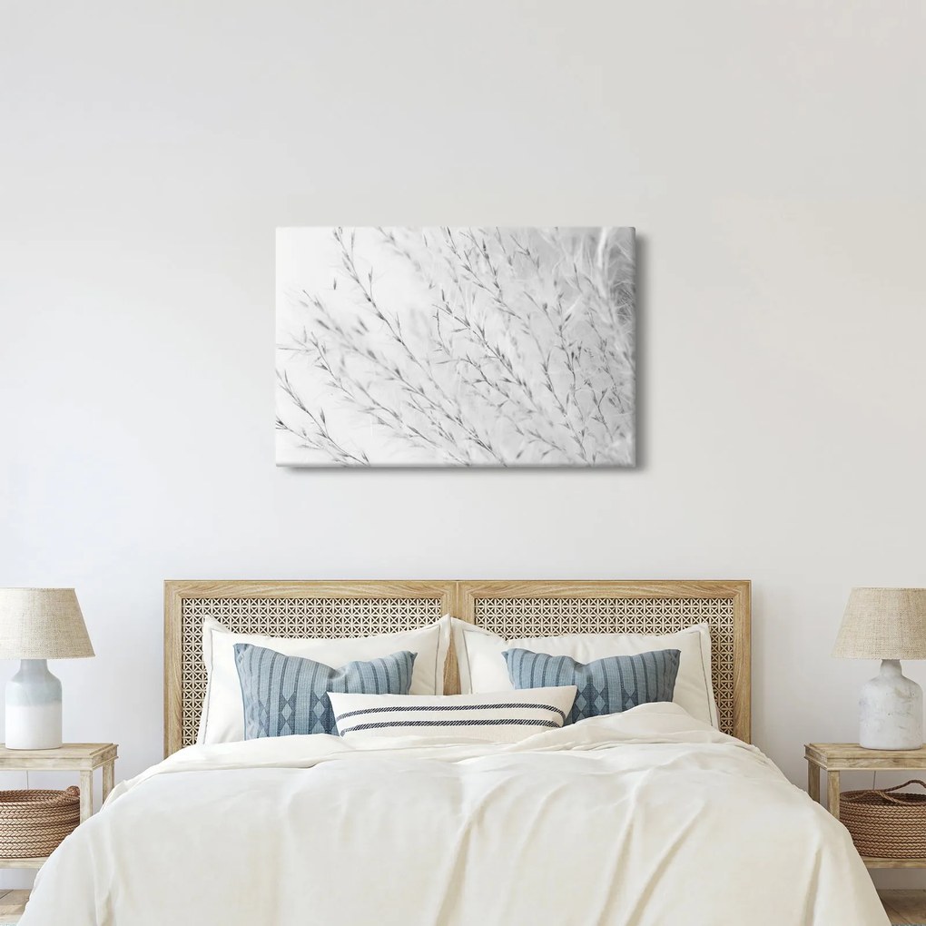 Kép - Pampafű N⁰2 (90x60 cm)