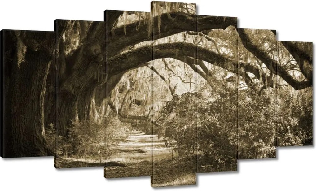 Képek 140x80 Tölgyek a Szépia parkban